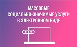 Массовые социально-значимые услуги в электронном виде