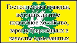 Господдержка граждан, ведущих личное подсобное хозяйство, зарегистрированных в качестве самозанятых