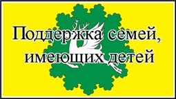 Региональный проект Чувашской Республики «Поддержка семей, имеющих детей»