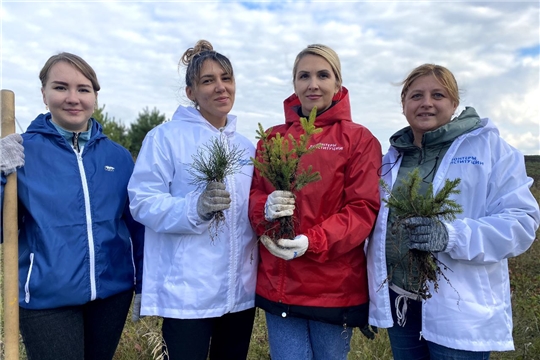 Приняли участие во Всероссийской акции «Сохраним лес-2022» и в акции  "95 добрых дел"- прсвященной юбилею района