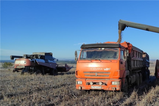 Аграрии Канашского района продолжают уборку подсолнечника