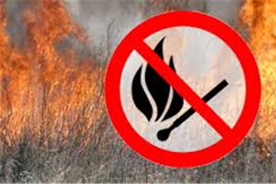 Памятка о запрете сжигания сухой травы
