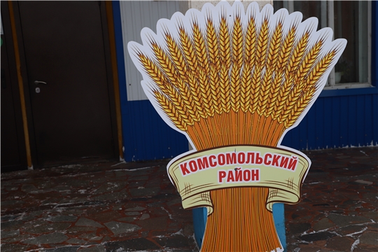 В Комсомольском районе прошло мероприятие к Дню работника сельского хозяйства и перерабатывающей промышленности