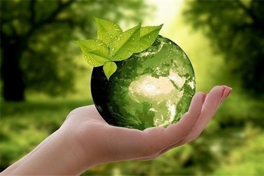 23 сентября - Всероссийский экологический субботник 