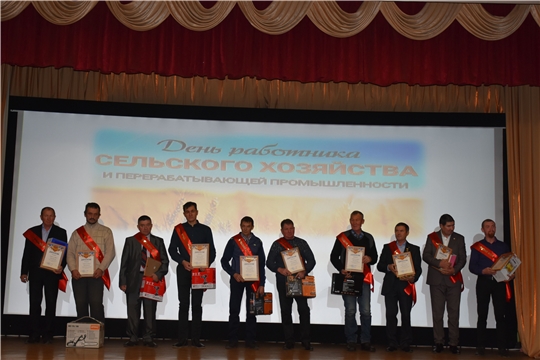 Чествование работников сельского хозяйства Козловского района