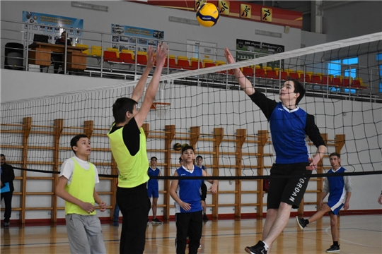Определились победители муниципального этапа чемпионата Школьной волейбольной лиги Чувашской Республики