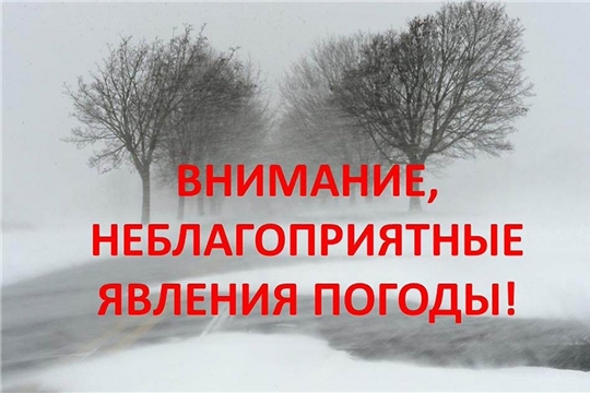 В связи с неблагоприятными погодными условиями отсутствует свет в 13 населенных пунктах