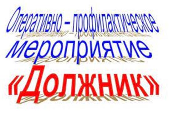 В с. Красноармейское проводится республиканское оперативно-профилактическое мероприятие «Должник»