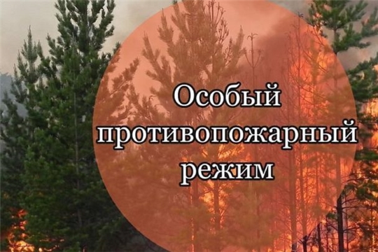 В Красноармейском муниципальном округе введен особый противопожарный режим