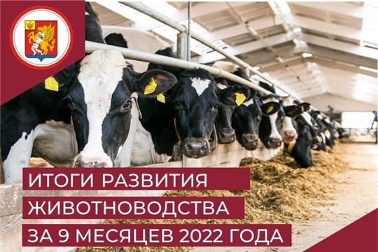 Итоги развития отрасли животноводства Красночетайского района за 9 месяцев 2022года