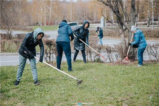 С 19 сентября в Чебоксарах пройдут экологические субботники