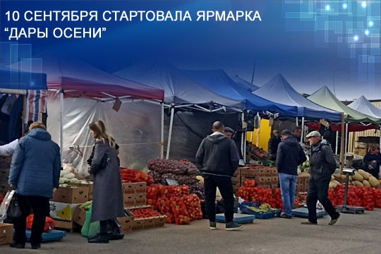 #дарыосени