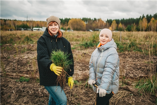 Жителям Чувашской Республики предложили сделать экологичный подарок на День матери