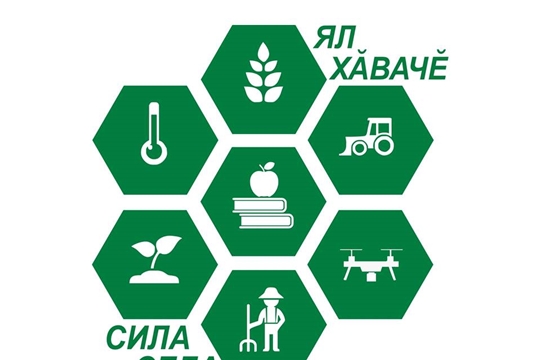 В Национальной библиотеке Чувашской Республики состоится презентация проекта «Сила села»