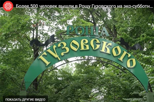 Более 500 человек вышли в Рощу Гузовского на эко-субботник «Зелёная Россия»
