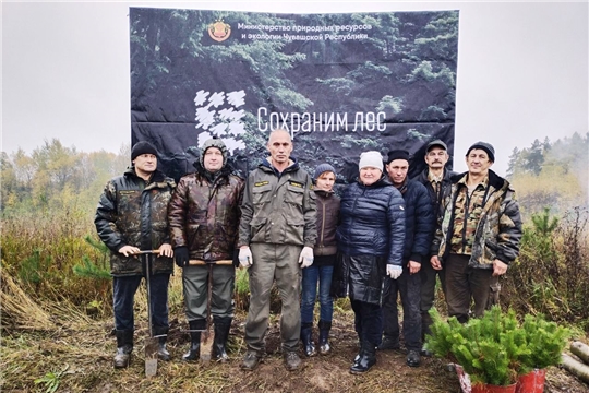 В Чувашии прошло центральное мероприятие всероссийской акции «Сохраним лес»