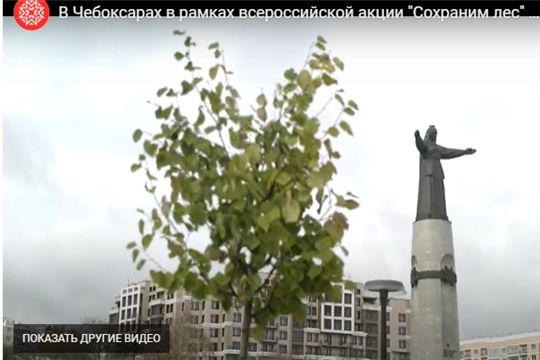 В Чебоксарах в рамках всероссийской акции "Сохраним лес" посадили 71 липу