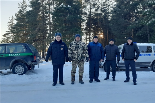 В Чувашской Республике усиленно ведется охрана хвойных молодняков