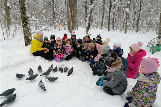 15 января-День зимующих птиц