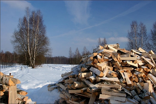 В Чувашской Республике семьи участников спецоперации обеспечивают дровами 