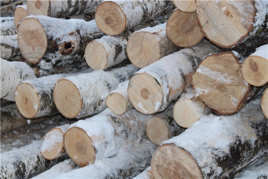 Роcлесхоз сообщает: упрощена процедура продажи древесины для отопления домов и соцобъектов