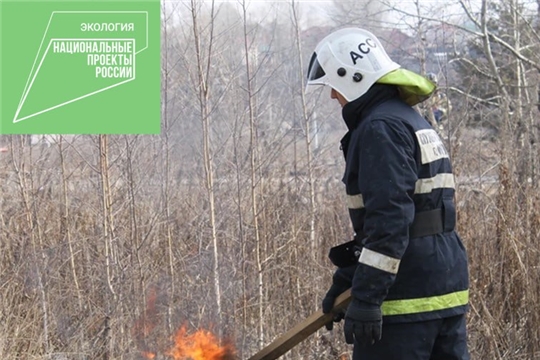 В России вводят запрет на сжигание травы