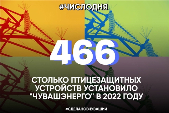 466 – столько птицезащитных устройств установлено «Чувашэнерго» в текущем году