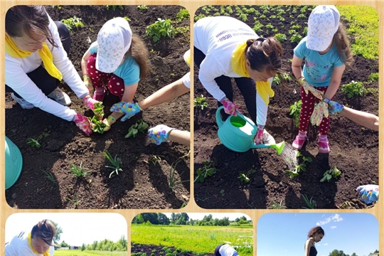 Жительница Чувашии помогла многодетной семье по гранту всероссийского агроволонтёрского проекта