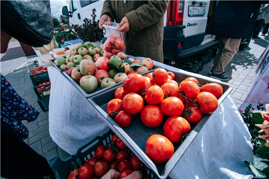 Жители Чувашии приобрели более 50 тонн фермерской продукции в первые дни ярмарки «Дары осени»