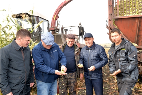 В Батыревском районе убрали 99% зерновых и завершили посев озимых культур 