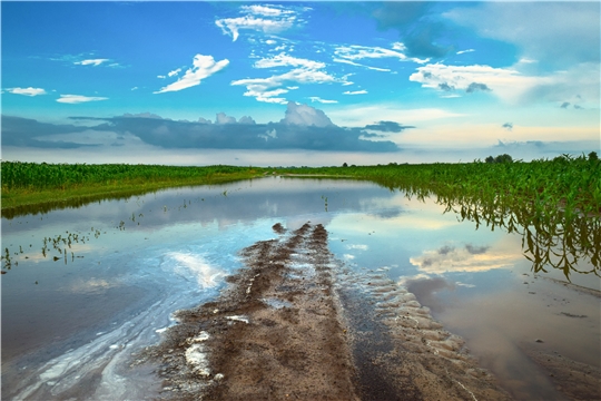 В трех районах Чувашии зафиксировано опасное агрометеорологическое явление - «переувлажнение почвы»