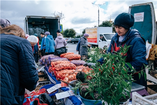 На  ярмарке «Дары осени» в Чувашии купили 250 тонн сельхозпродукции