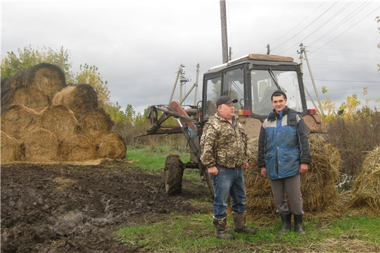 В животноводческой отрасли Янтиковского района сейчас идет ответственный период – подготовка помещений к зимовке скота