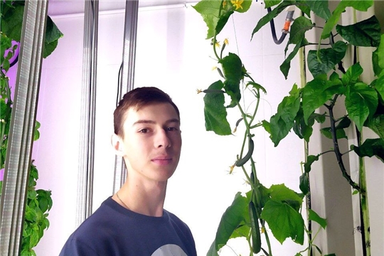 Студент Чувашского аграрного госуниверситета вырастил самый острый перец в мире