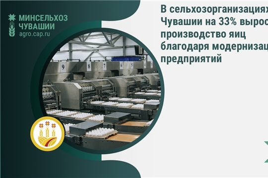 В сельхозорганизациях Чувашии на 33% выросло производство яиц благодаря модернизации предприятий