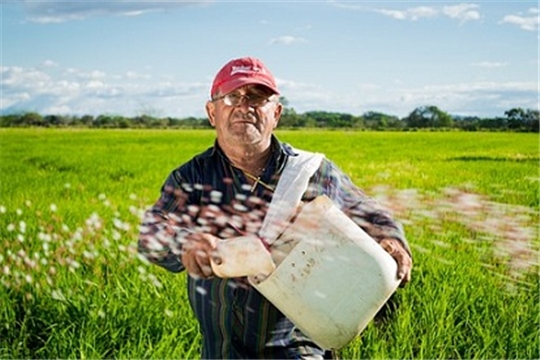 Самозанятых включат в госреестр производителей органической продукции