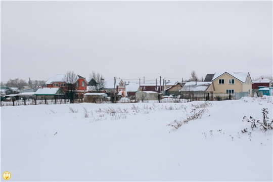 Агродайджест: что произошло в агропромышленном комплексе России в новогодние праздники