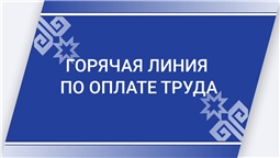 "Горячая линия" по оплате труда