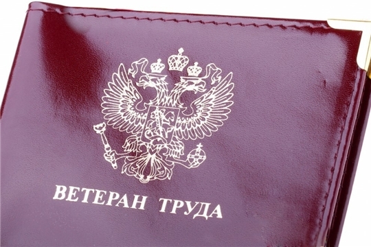 В сентябре более 125 тыс. ветеранов труда в Чувашии получили ежемесячную денежную выплату