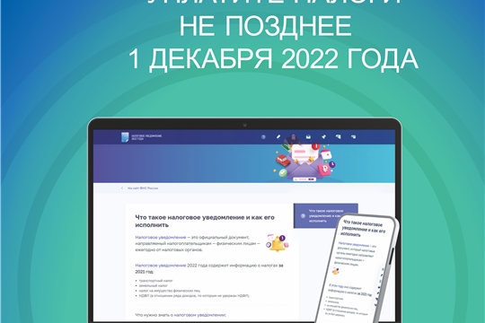 1 декабря 2022 года истекает срок уплаты имущественных налогов физическими лицами за 2021 год