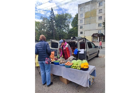 Месячник по реализации сельскохозяйственной продукции «Дары осени» зовет чебоксарцев за выгодными покупками