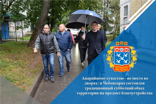 Аварийному сухостою - не место во дворах: в Чебоксарах состоялся традиционный субботний обход территории на предмет благоустройства