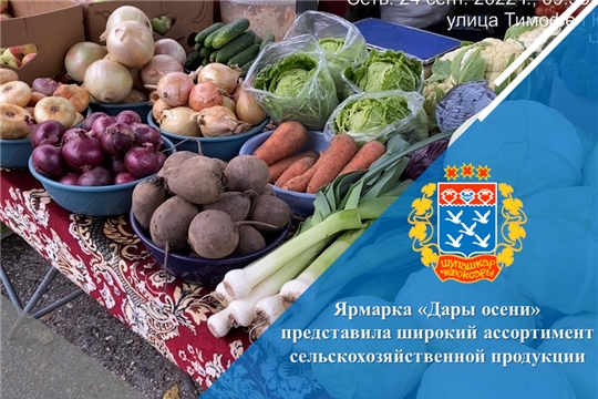 Ярмарка «Дары осени» представила широкий ассортимент сельскохозяйственной продукции