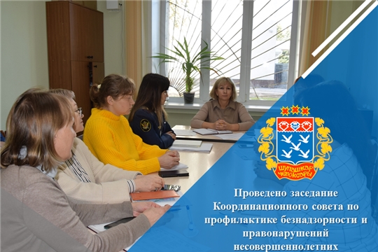 Проведено заседание Координационного совета по профилактике безнадзорности и правонарушений несовершеннолетних