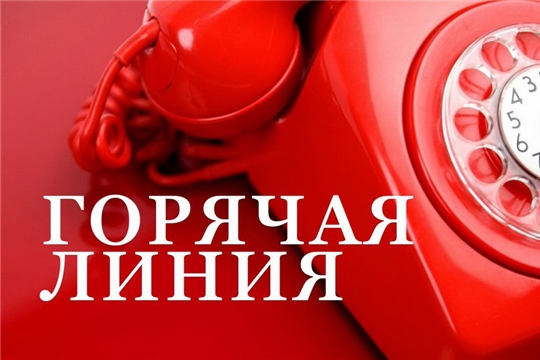 Есть вопросы по зарплате? Звоните на «горячую линию»