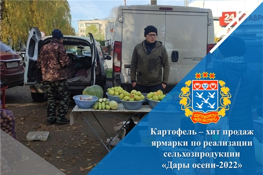 Картофель – хит продаж ярмарки по реализации сельхозпродукции «Дары осени-2022»