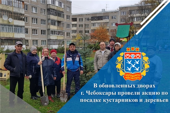В обновленных дворах г. Чебоксары провели акцию по посадке кустарников и деревьев