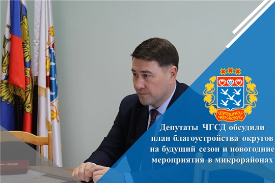 Депутаты ЧГСД обсудили план благоустройства округов на будущий сезон и новогодние мероприятия в микрорайонах