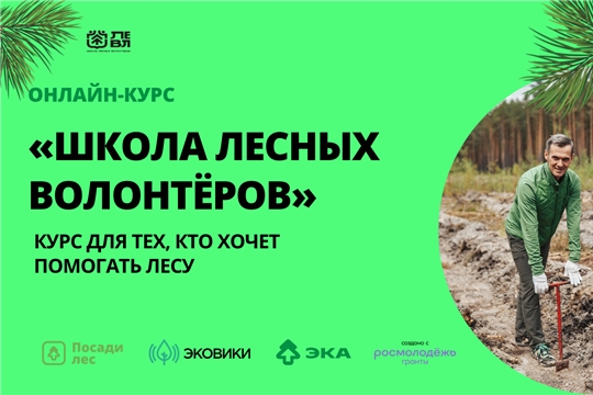 Появился бесплатный онлайн-курс по лесному волонтерству