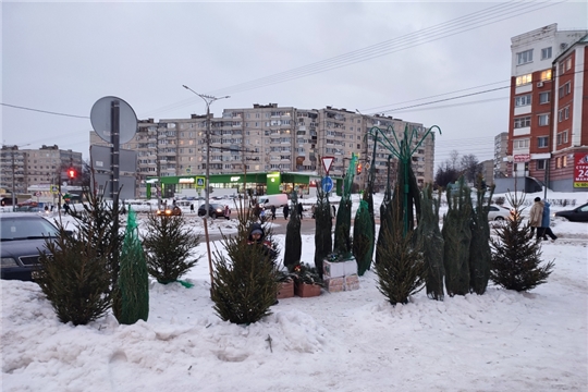 В Московском районе г. Чебоксары начали свою работу традиционные «Ёлочные базары»